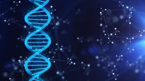 Deoxyribonucleic Acid Dna and Molecular Plexus on the Dark Blue Background Stock Footage - Video of rotating, presentation: 207983362 Deoxyribonucleic Acid Dna and Molecular Plexus on the Dark Blue Background Stock Footage - Video of rotating, presentation: 207983362