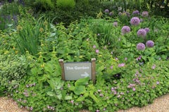 Botanischer Garten In Cambridge, England Stockfoto Bild von zuhause
