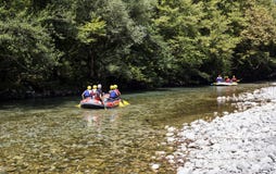 Der Gebirgsfluss Voidomatis stockbild Der Gebirgsfluss Voidomatis stockbild