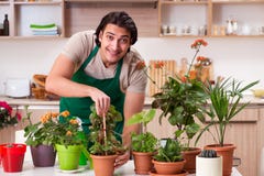 Der junge gut aussehende Mann, der zu Hause Blumen kultiviert lizenzfreie stockbilder Der junge gut aussehende Mann, der zu Hause Blumen kultiviert lizenzfreie stockbilder