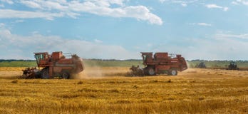 Der Mähdrescher entfernt Weizenfelder stockbild Der Mähdrescher entfernt Weizenfelder stockbild