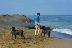 Der Rottweiler-Hund und ihre Geliebte im Wasser Stockbilder Der Rottweiler-Hund und ihre Geliebte im Wasser Stockbilder