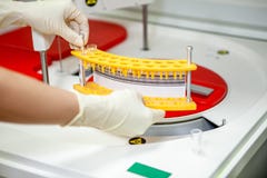 Der Techniker legt die Rohre in einen Zentrifugenapparat, Nahaufnahme, Seitenansicht stockbilder Der Techniker legt die Rohre in einen Zentrifugenapparat, Nahaufnahme, Seitenansicht stockbilder