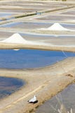 DES gauche Salines photos libres de droits DES gauche Salines photos libres de droits