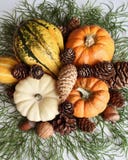 Des Herbstes Leben noch mit Kürbisen und Kieferkegeln stockfotos Des Herbstes Leben noch mit Kürbisen und Kieferkegeln stockfotos