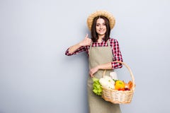 Des vegetarischen Pfeffer-Paprika carro Heustrohs des Kohlstrengen vegetariers inländisches lizenzfreie stockbilder Des vegetarischen Pfeffer-Paprika carro Heustrohs des Kohlstrengen vegetariers inländisches lizenzfreie stockbilder