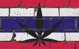 Desenho do pulverizador da arte da rua dos grafittis no estêncil Folha do cannabis na parede de tijolo com bandeira Tailândia ilustração royalty free Desenho do pulverizador da arte da rua dos grafittis no estêncil Folha do cannabis na parede de tijolo com bandeira Tailândia ilustração royalty free