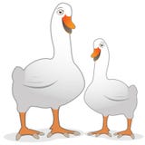 Desenhos animados bonitos do vetor do pato ilustração do vetor Desenhos animados bonitos do vetor do pato ilustração do vetor