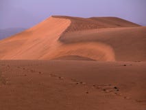 Desert Stock Images