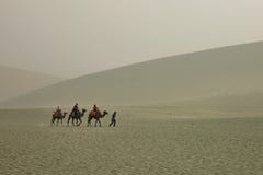 desert dunes with camels during a mild sand storm stock image desert dunes with camels during a mild sand storm stock image