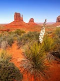 Desert Landscape in Arizona, Monument Valley Royalty Free Stock Photos Desert Landscape in Arizona, Monument Valley Royalty Free Stock Photos
