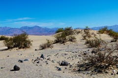 Desert landscape, dunes, mountains in the background royalty free stock image Desert landscape, dunes, mountains in the background royalty free stock image