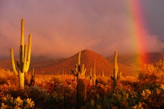 Desert Rainbow Royalty Free Stock Photography Desert Rainbow Royalty Free Stock Photography
