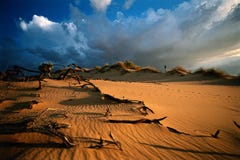 Desert Sunset Stock Photo Desert Sunset Stock Photo