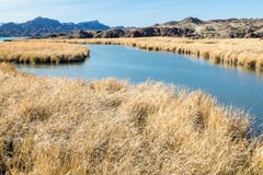 Desert Wildlife Refuge Royalty Free Stock Photography Desert Wildlife Refuge Royalty Free Stock Photography