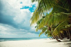 Deserted beach on an island with white sand. Palm trees royalty free stock image Deserted beach on an island with white sand. Palm trees royalty free stock image