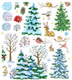 Design set with fir trees, decorated conifers, poinsettia, pine cones, nature Christmas elements. Hand painted winter watercolor clip art illustrations isolated stock illustration Design set with fir trees, decorated conifers, poinsettia, pine cones, nature Christmas elements. Hand painted winter watercolor clip art illustrations isolated stock illustration