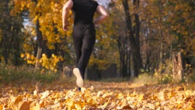 Desportista irreconhecível que corre no parque do outono que pisa nas folhas de bordo secas Corredor masculino que movimenta-se e filme Desportista irreconhecível que corre no parque do outono que pisa nas folhas de bordo secas Corredor masculino que movimenta-se e filme