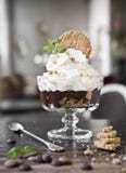 Dessert from Belgian chocolate, biscuits and whipped cream on the background of an otter cafe royalty free stock photos Dessert from Belgian chocolate, biscuits and whipped cream on the background of an otter cafe royalty free stock photos