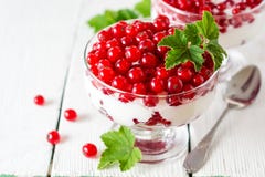 Dessert de yaourt avec la groseille rouge et décoré des feuilles sur le fond en bois blanc Image stock Dessert de yaourt avec la groseille rouge et décoré des feuilles sur le fond en bois blanc Image stock