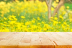 Dessus de table en bois sur le fond brouillé du jardin d'agrément jaune photos libres de droits Dessus de table en bois sur le fond brouillé du jardin d'agrément jaune photos libres de droits