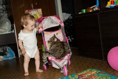 Det lilla lilla barnet rullar hans stora katt i ett litet behandla som ett barn leksaksittvagnen royaltyfri fotografi Det lilla lilla barnet rullar hans stora katt i ett litet behandla som ett barn leksaksittvagnen royaltyfri fotografi