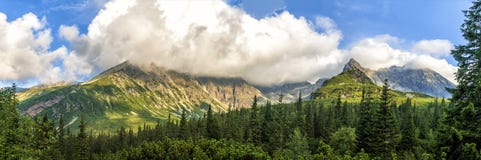 Det polska landskapet för Tatra bergsommar med blå himmel och vit fördunklar royaltyfri foto Det polska landskapet för Tatra bergsommar med blå himmel och vit fördunklar royaltyfri foto