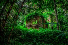 Det tropiska huset kastas i skog royaltyfri bild Det tropiska huset kastas i skog royaltyfri bild