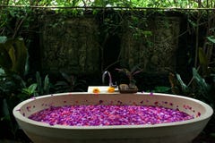 Det utomhus- badet med tropiska rosa färger blommar för kopplar av Spa organisk fotografering för bildbyråer Det utomhus- badet med tropiska rosa färger blommar för kopplar av Spa organisk fotografering för bildbyråer