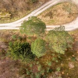 Det vertikalt tagna flyg- fotografiet av nästan fyrtio meter en hög gammal jätte sörjer trädet på kanten av en roterande ögla i e Royaltyfri Fotografi Det vertikalt tagna flyg- fotografiet av nästan fyrtio meter en hög gammal jätte sörjer trädet på kanten av en roterande ögla i e Royaltyfri Fotografi