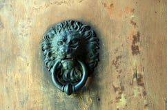 Detail of iron lion head door knocker on old door Stock Image