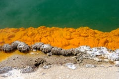 Detail Of Colorful Geothermal Pool At Wai O Tapu, New Zealand Royalty Free Stock Images