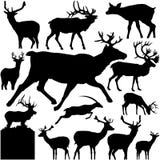Detailed Vectoral Deer Silhouettes stock illustration Detailed Vectoral Deer Silhouettes stock illustration