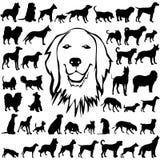 Detailed Vectoral Dog Silhouettes royalty free illustration Detailed Vectoral Dog Silhouettes royalty free illustration