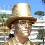 Detalj av en busker i cannes arkivbild Detalj av en busker i cannes arkivbild
