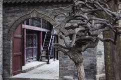 Detalle de un árbol y la entrada a la gran mezquita en la ciudad de Xian, Fotos de archivo Detalle de un árbol y la entrada a la gran mezquita en la ciudad de Xian, Fotos de archivo