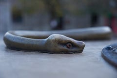 Dettagli bronzei del serpente immagini stock Dettagli bronzei del serpente immagini stock