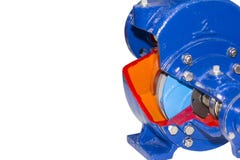 Dettaglio alto vicino di sezione trasversale dentro la pompa centrifuga per l'industriale isolata su fondo bianco con il percorso immagine stock libera da diritti Dettaglio alto vicino di sezione trasversale dentro la pompa centrifuga per l'industriale isolata su fondo bianco con il percorso immagine stock libera da diritti