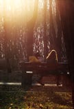 Deux jeunes filles parlant sur le banc en parc Beau boke de coucher du soleil photo libre de droits Deux jeunes filles parlant sur le banc en parc Beau boke de coucher du soleil photo libre de droits