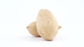 Deux noix de pécan dans une coquille Rotation sur la plaque tournante d'isolement sur le fond blanc closeup Macro banque de vidéos Deux noix de pécan dans une coquille Rotation sur la plaque tournante d'isolement sur le fond blanc closeup Macro banque de vidéos