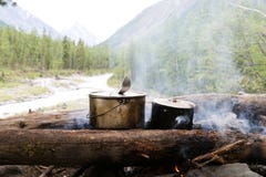 Deux pots se tiennent sur le feu dans la forêt image libre de droits Deux pots se tiennent sur le feu dans la forêt image libre de droits