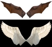 Devil And Angel Wings Stock Photo Devil And Angel Wings Stock Photo