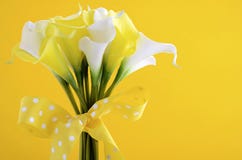 Di tema della calla mazzo giallo e bianco di nozze lilly fotografie stock Di tema della calla mazzo giallo e bianco di nozze lilly fotografie stock