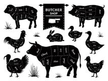 Diagramas del carnicero Cortes animales de la carne, siluetas de los animales domésticos del gallo del cordero del conejo del cer libre illustration Diagramas del carnicero Cortes animales de la carne, siluetas de los animales domésticos del gallo del cordero del conejo del cer libre illustration