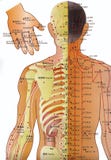 Diagramma di agopuntura - medicina alternativa illustrazione di stock Diagramma di agopuntura - medicina alternativa illustrazione di stock