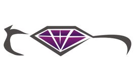 Diamond Car Beauty Accessories illustration stock Diamond Car Beauty Accessories illustration stock