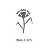 Dianthus ikona Modny Dianthus logo pojęcie na białym tle royalty ilustracja Dianthus ikona Modny Dianthus logo pojęcie na białym tle royalty ilustracja
