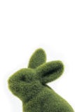 Dichte omhooggaand van het groene Pasen-konijntje royalty-vrije stock foto Dichte omhooggaand van het groene Pasen-konijntje royalty-vrije stock foto