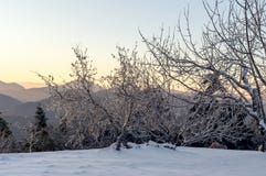 Die Ansicht der Berge im Abstand und in den Eis-bedeckten Bäumen Lizenzfreie Stockbilder Die Ansicht der Berge im Abstand und in den Eis-bedeckten Bäumen Lizenzfreie Stockbilder