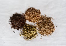 Die Bierkomponenten über einem weißen Hintergrund lizenzfreie stockbilder Die Bierkomponenten über einem weißen Hintergrund lizenzfreie stockbilder